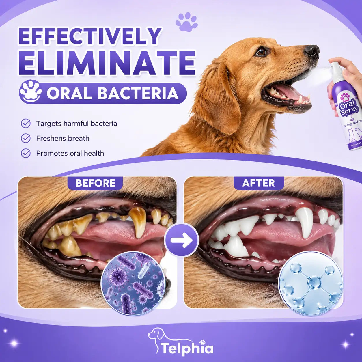 Pet Oral Spray