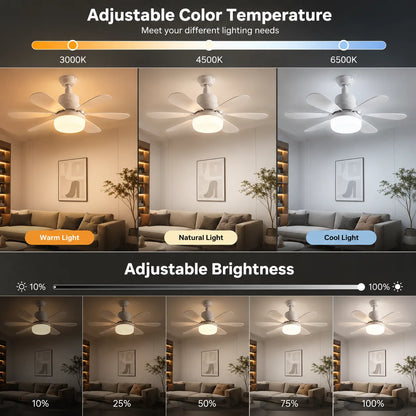 Smart Fan Light