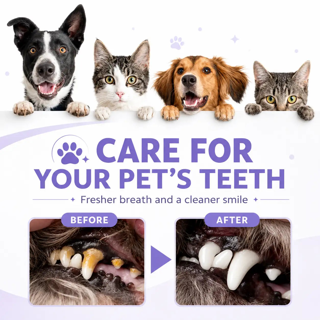 Pet Oral Spray